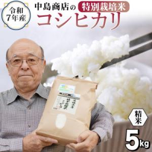 ふるさと納税 つくばみらい市 令和7年産 茨城県産 お米 特別栽培米 こしひかり 5kg(5kg×1袋) 精米