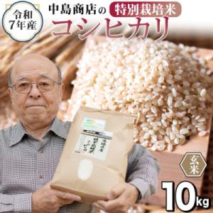 ふるさと納税 つくばみらい市 【玄米】令和7年産 茨城県産 お米 特別栽培米 こしひかり 10kg(5kg×2袋)