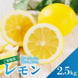 ふるさと納税 松山市 【先行予約】2027年2月上旬より発送 イエローレモン 約2.5kg 家庭用 ...
