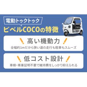 ふるさと納税 伊勢原市 電動トゥクトゥク《VI...の詳細画像2