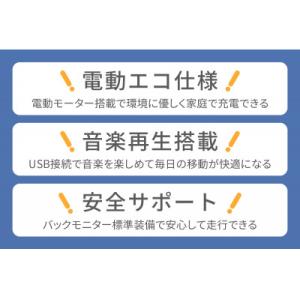 ふるさと納税 伊勢原市 電動トゥクトゥク《VI...の詳細画像3