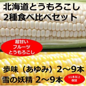 ふるさと納税 池田町 【訳あり】北海道とうもろこし「雪の妖精」「あゆみ」2種類食べ比べセット　計約5...