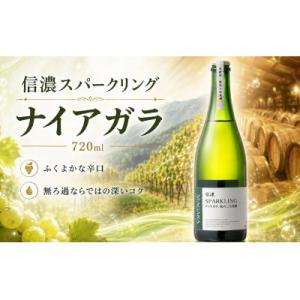 ふるさと納税 塩尻市 信濃 スパークリング ナイアガラ 720ml