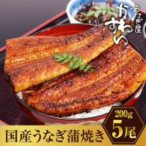 ふるさと納税 有田市 大きい! 国産うなぎ蒲焼5尾セット(総量1kg以上)