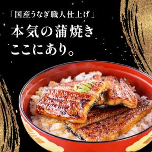 ふるさと納税 有田市 大きい! 国産うなぎ蒲焼...の詳細画像3