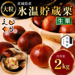 ふるさと納税 茨城県 生産者直送 茨城県産 海老澤農園の氷温熟成栗2kg 生栗 大玉 薬剤不使用