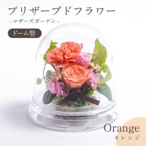 ふるさと納税 羽島市 プリザーブドフラワー ドーム型アレンジ 【マザーズガーデン(オレンジ)】