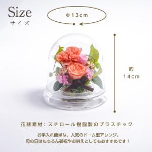 ふるさと納税 羽島市 プリザーブドフラワー ド...の詳細画像2