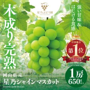 ふるさと納税 津山市 星乃 シャインマスカット 650g以上 1房 数量限定 岡山県産 ぶどう フルーツ 人気ぶどう