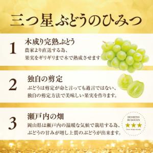 ふるさと納税 津山市 【2026年発送】星乃 ...の詳細画像3