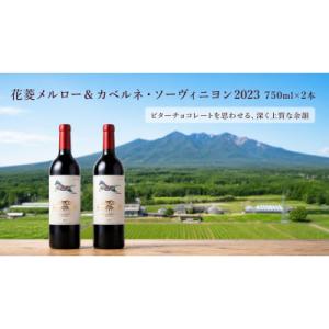 ふるさと納税 韮崎市 花菱 メルロー&amp;カベルネ・ソーヴィニヨン2023  750ml×2本