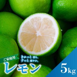 ふるさと納税 松山市 2026年9月下旬より順次発送 グリーンレモン 約5kg 家庭用 訳あり 防腐...