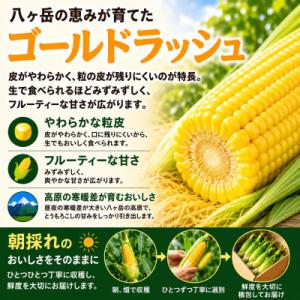 ふるさと納税 茅野市 朝採り出荷 長野県茅野市...の詳細画像1