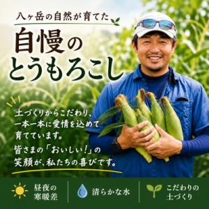 ふるさと納税 茅野市 朝採り出荷 長野県茅野市...の詳細画像2