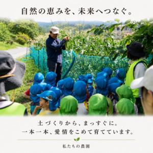 ふるさと納税 茅野市 朝採り出荷 長野県茅野市...の詳細画像3