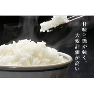 ふるさと納税 十日町市 令和8年産米【先行受付...の詳細画像1