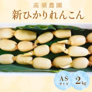 ふるさと納税 稲敷市 新ひかりれんこん 2kg(6本〜9本入り)ASサイズ 産地直送 浮島産れんこん