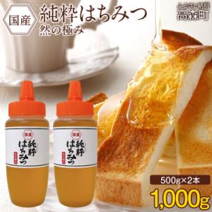 ふるさと納税 高森町 国産 純粋はちみつ 然の極み 合計1kg 500g×2本 セット とんがり容器 ポリ容器(高森町)