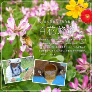 ふるさと納税 高森町 国産 純粋はちみつ 然の...の詳細画像2