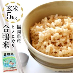 ふるさと納税 大木町 【先行予約】 令和8年産 合鴨米「ヒノヒカリ」(玄米・5kg) BI03