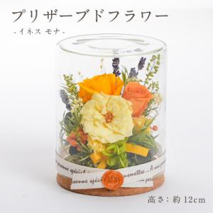 ふるさと納税 羽島市 プリザーブドフラワー ガラスケース入りアレンジ 【イネス モナ(イエロー)】