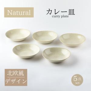 ふるさと納税 土岐市 【美濃焼】ナチュラルカレー皿5枚セット【山正各務陶器】北欧風(551305)