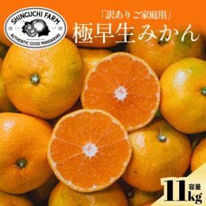 ふるさと納税 八幡浜市 【訳ありだけど美味しさそのまま】極早生みかん 11kg【愛媛県産】【70-1...