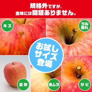 ふるさと納税 黒石市 レビュー評価★4.5の訳ありりんご「サンふじ」。お試しサイズ3kgが登場!!人...