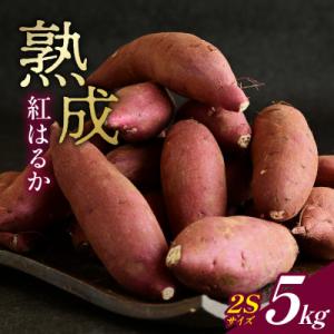 ふるさと納税 かすみがうら市 産地直送!生さつまいも「熟成紅はるか」調理しやすい小さめサイズ5kg