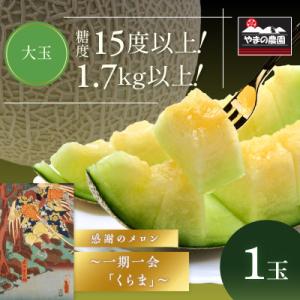 ふるさと納税 御坊市 やまの農園　感謝のメロン〜一期一会「くらま」約1.7キロ以上　1玉