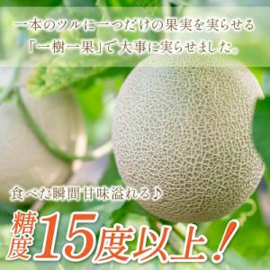 ふるさと納税 御坊市 やまの農園 感謝のメロン...の詳細画像1
