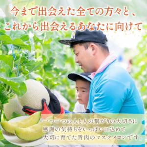 ふるさと納税 御坊市 やまの農園 感謝のメロン...の詳細画像2