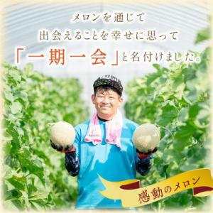 ふるさと納税 御坊市 やまの農園 感謝のメロン...の詳細画像3