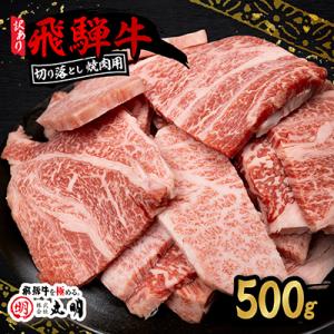 ふるさと納税 養老町 【訳あり】飛騨牛 焼肉　切り落とし 500g