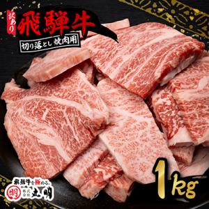 ふるさと納税 養老町 【訳あり】飛騨牛 焼肉　切り落とし 1kg