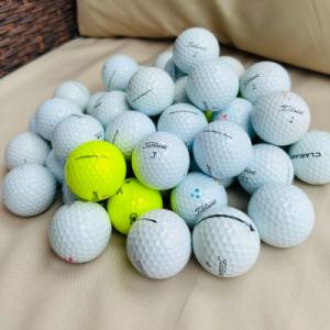 ふるさと納税 武蔵村山市 ロストボール30個　洗浄検品済み　タイトリストProV1/V1x　年代、カ...