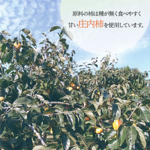 ふるさと納税 鶴岡市 【令和9年発送】干し柿 ...の詳細画像1