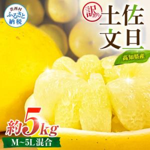 ふるさと納税 芸西村 【訳あり】土佐文旦 家庭用 (M〜5L混合サイズ) 約5kg 大玉入り【TSM...