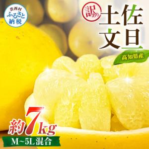 ふるさと納税 芸西村 【訳あり】土佐文旦 家庭用 (M〜5L混合サイズ) 約7kg 大玉入り【TSM...