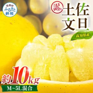 ふるさと納税 芸西村 【訳あり】土佐文旦 家庭用 (M〜5L混合サイズ) 約10kg 大玉入り【TS...