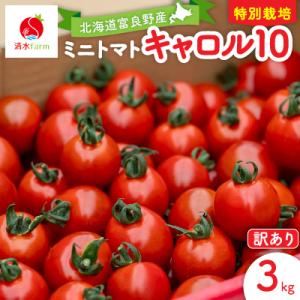 ふるさと納税 富良野市 【2027年発送先行受付】【訳あり】ミニトマト　キャロル10　3kg