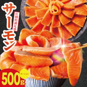 ふるさと納税 泉佐野市 【訳あり】サーモン 500g ポーション お試し サイズ不揃い