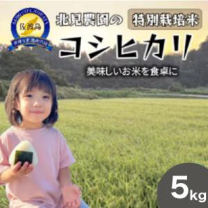 ふるさと納税 佐渡市 【先行受付・数量限定】令和8年産　特別栽培米佐渡産コシヒカリ　農家直送北見農園自慢の逸品　精米5kg