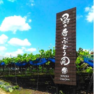 ふるさと納税 生坂村 【2026年発送 先行予...の詳細画像3