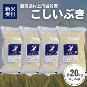 ふるさと納税 村上市 【新米受付・令和8年産米】新潟県村上市岩船産 こしいぶき20kg(5kg×4袋)1099007N