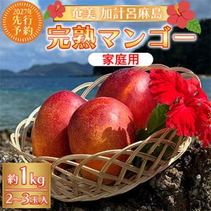 ふるさと納税 瀬戸内町 【2027年先行予約】奄美 加計呂麻島 完熟マンゴー 家庭用 約1kg(2〜...