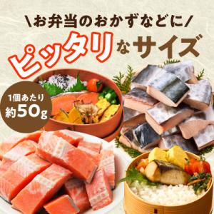 ふるさと納税 泉佐野市 【お弁当サイズ】さわら...の詳細画像1
