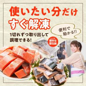 ふるさと納税 泉佐野市 【お弁当サイズ】さわら...の詳細画像3
