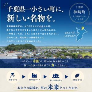 ふるさと納税 神崎町 こぼれ蜜干しいも 300...の詳細画像3