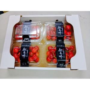 ふるさと納税 中山町 【令和9年産先行受付】山形県中山町産「紅秀峰」秀品　Lサイズ以上　約800g(...